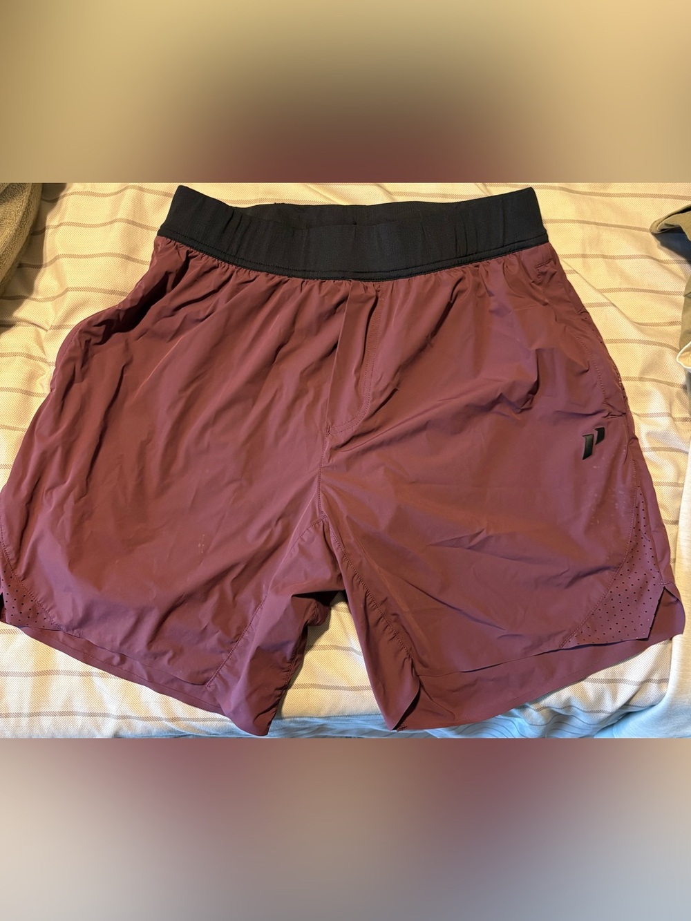 1st Phorm Shorts